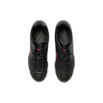 Mizuno Monarcida Neo II TF（ ）