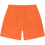 Stussy FW24 WATER SHORT BIG BASIC Logo