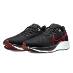 Nike Pegasus 38