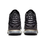 Nike Lebron 17