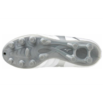 Mizuno Monarcida