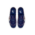 Nike Air Max Penny USA