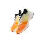 Anta