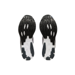Asics EvoRide
