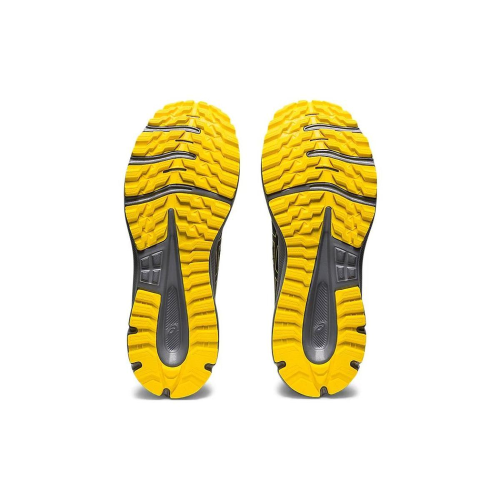Asics Trail Scout 2