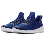 Nike Renew Rival