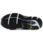 Mizuno Paradox 5