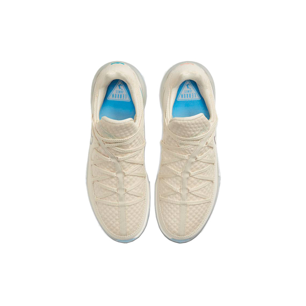 Nike Lebron 17 Low