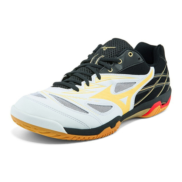 Mizuno Fang