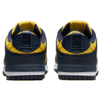 Nike Dunk Disrupt 2