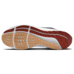 Nike Air Zoom Pegasus 39