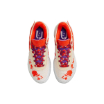 MIMI PLANGE x Nike LeBron 20