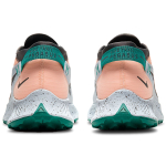Nike Pegasus Trail 2