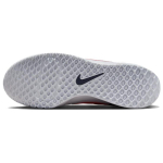 Nike Court Lite 3 Zoom