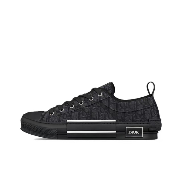 DIOR B23