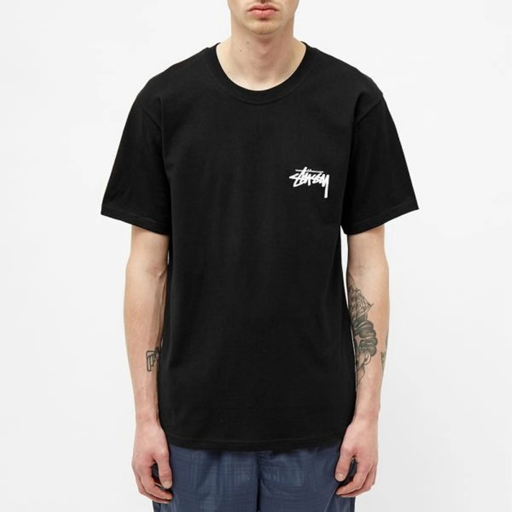 Stussy Falls Tee T