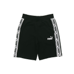 Puma T