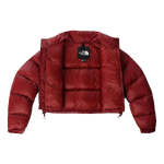THE NORTH FACE Logo
