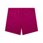 Stussy FW24 WATER SHORT BIG BASIC Logo