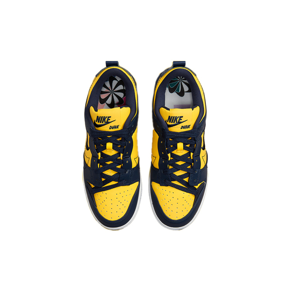 Nike Dunk Disrupt 2