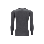 Under Armour UA Hg Armour Ls-Grylg