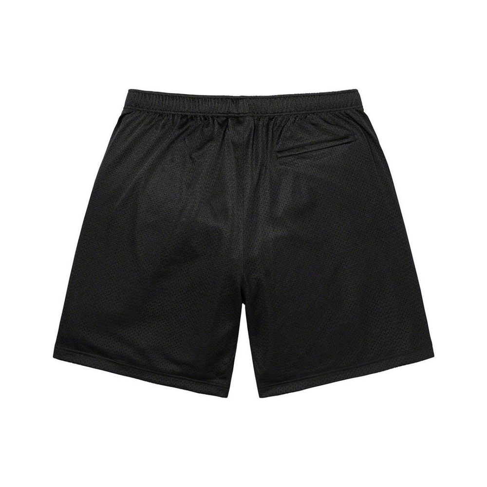 Supreme SS23 Week14 SMALL BOX BAGGY MESH SHORT logo