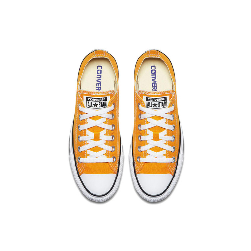 Converse Chuck Taylor All Star Seasonal Color Low Top