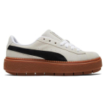PUMA Platform Trace