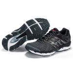 Mizuno Paradox 5