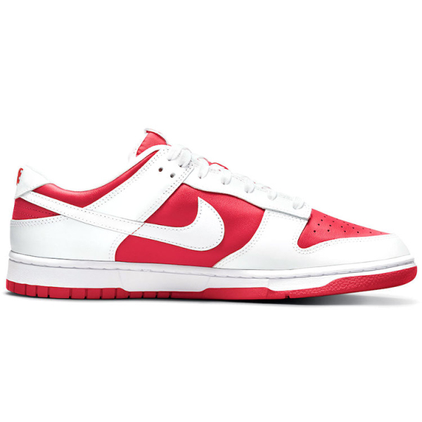 Nike Dunk Retro