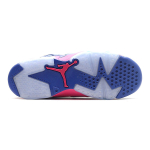 Jordan Air Jordan 6 Game Royal