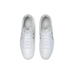 Asics DS LIGHT HG（ ）