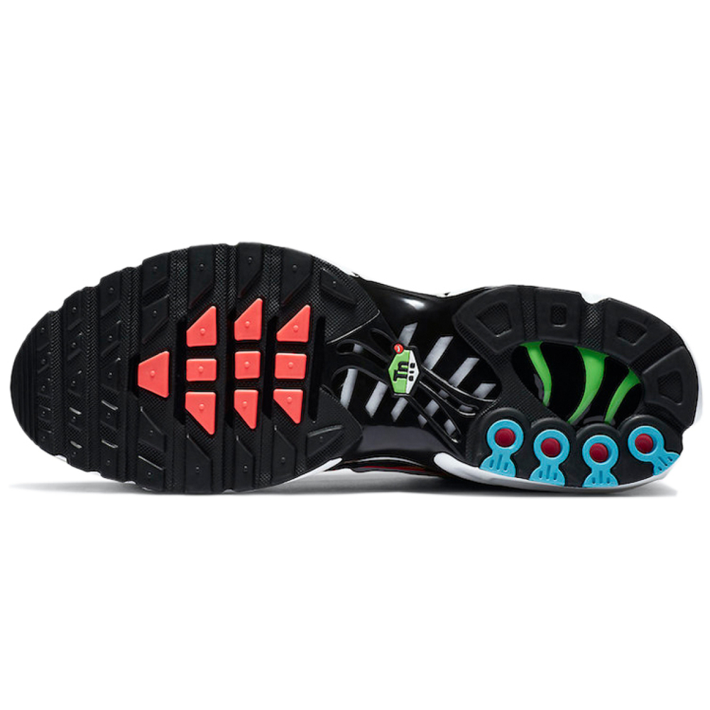 Nike Air Max Plus Worldwide