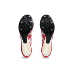 Asics Metaspeed MD