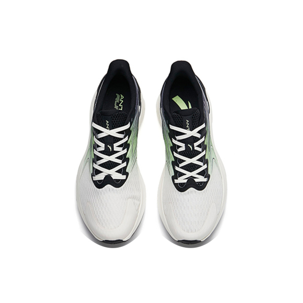 Anta 2