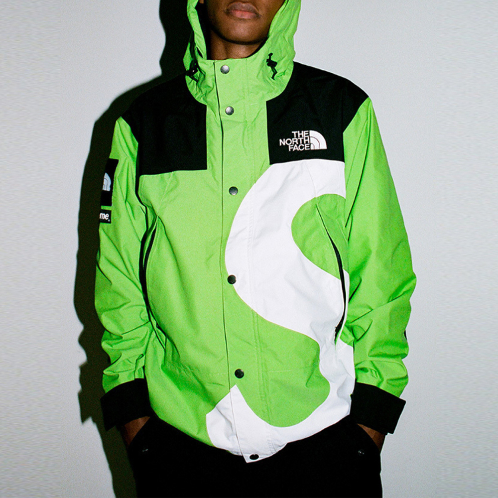 Supreme x the north face s logo mountain jacket TNF s logo