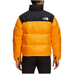 THE NORTH FACE 1996 Logo 700