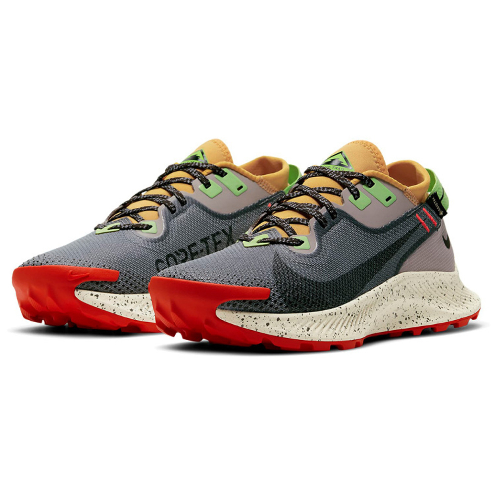 Nike Pegasus Trail 2 GTX