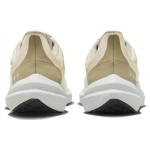 Nike Air Winflo Shield