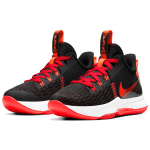 Nike Witness 5 LeBron EP