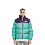 THE NORTH FACE 1996 Retro Nuptse 700