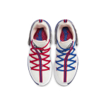 Nike Lebron 17