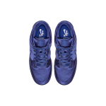 NBA x Nike Dunk SB