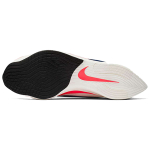 Nike Moon Racer