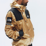 Supreme SS18 The North Face Metallic Mountain Parka Gold