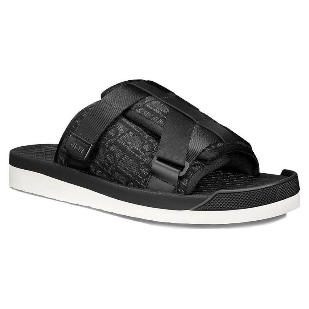 DIOR Alpha