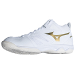 Mizuno Dynablitz mid