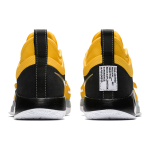 Nike PG 2.5