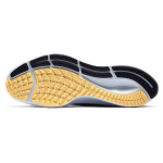 Nike Pegasus 37