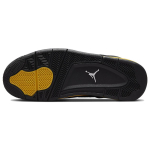 Jordan Air Jordan 4 2023